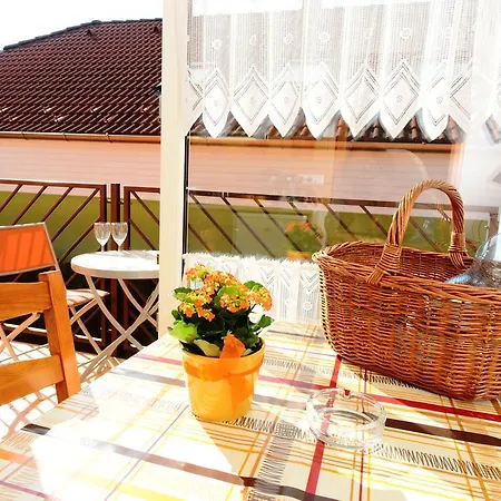 Apartman Molnar *